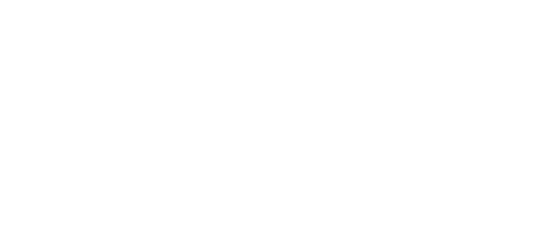 Lider Halı ve Stor Perde Yıkama Hizmetleri logosu